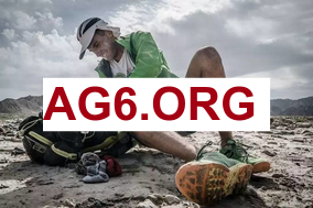 完整即时足球比分